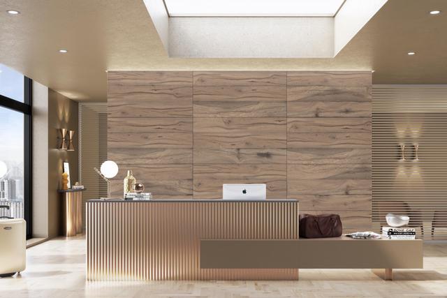Coraldo BROWN 60x120x0,9 cm